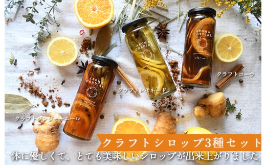 クラフト飲料シロップ コーラ ジンジャーエール
