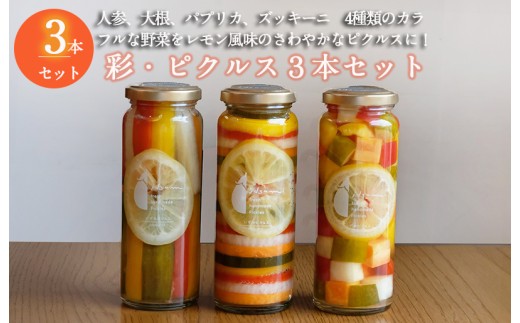 彩 いろどり シリーズ ピクルス 3本セット