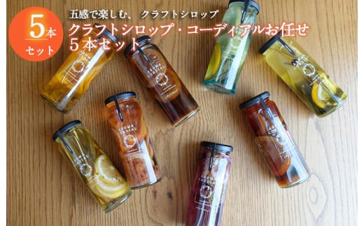 クラフト飲料シロップ5本セット いずみピクルス