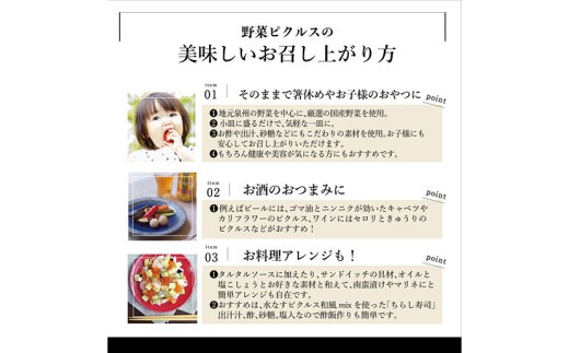【訳あり】泉州水なすピクルス等おまかせ 6本セット いずみピクルス NSW＜スピード発送＞ 099H3671
