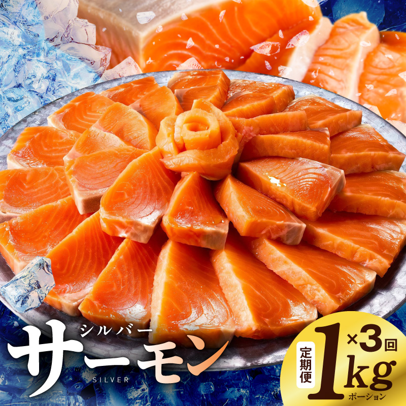 サーモン 定期便 1kg×全3回 099Z346
