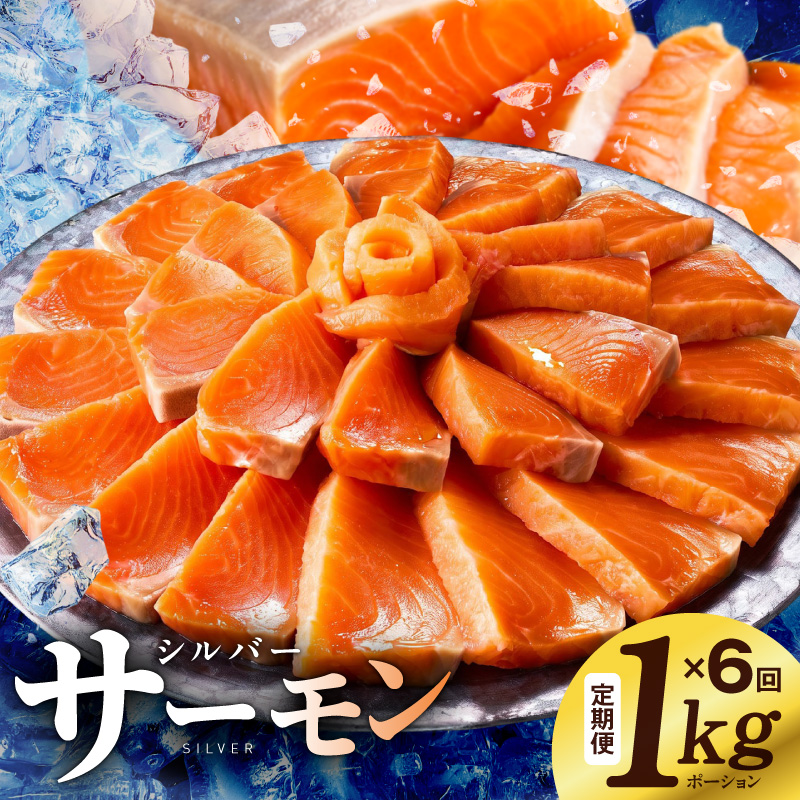 サーモン 定期便 1kg×全6回 099Z347