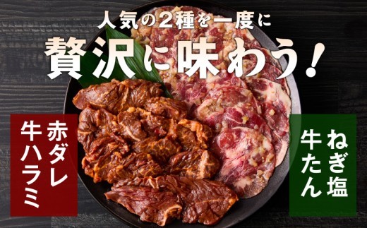 牛タン＆牛ハラミ お試し 1kg 焼肉セット【成型牛たん ハラミ 味付き 牛肉 やきにく BBQ 薄切り スライス 訳あり サイズ不揃い】 G4699