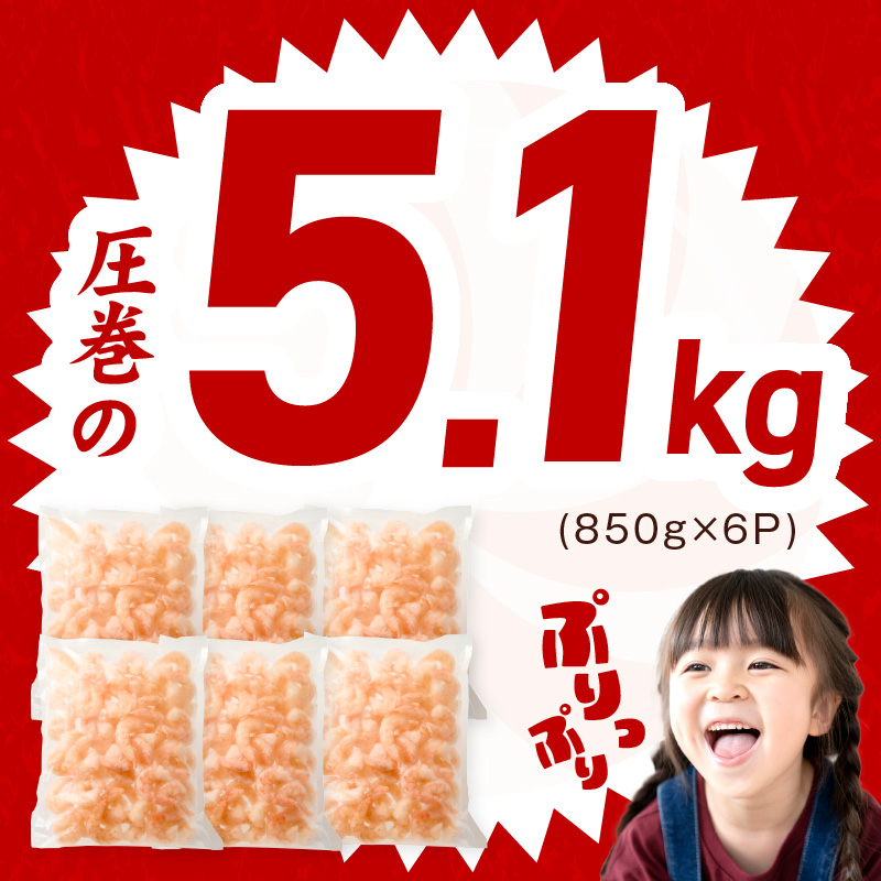 むきえび 総量 5.1kg 特大5Lサイズ【下処理不要 小分け 850g×6P 訳あり サイズ不揃い バナメイエビ バラ凍結】 G4214-1