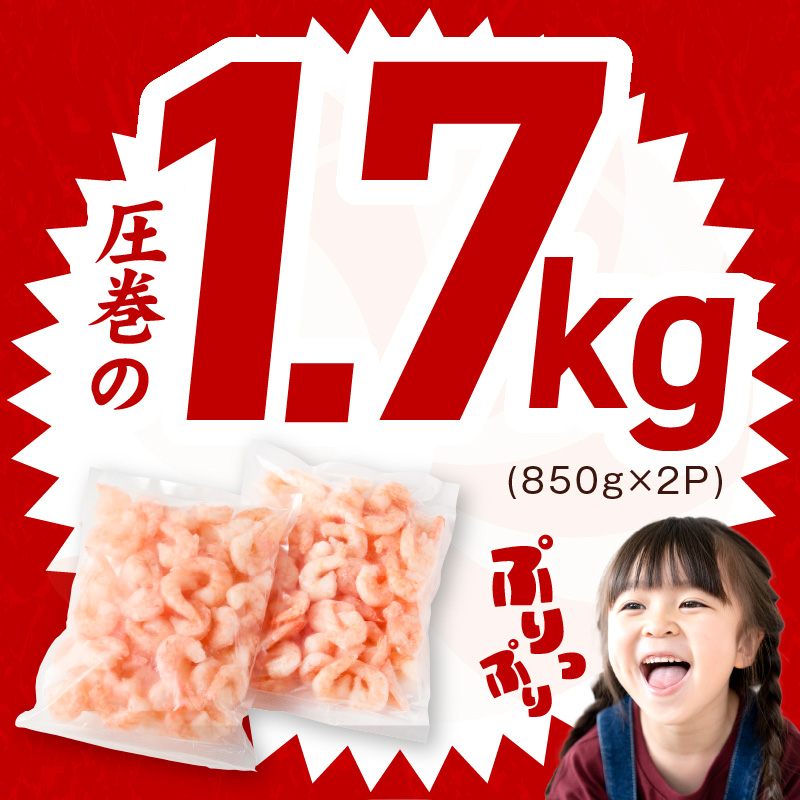 むきえび 定期便 1.7kg×3回 特大5Lサイズ【下処理不要 小分け 850g×2P 訳あり サイズ不揃い バナメイエビ バラ凍結】 G6130