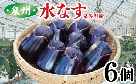 泉州 ハウス水なす 6個
