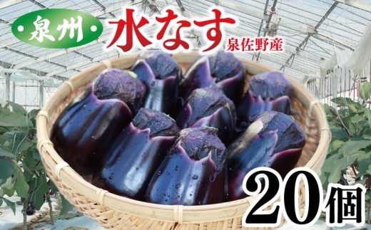 泉州 ハウス水なす 20個