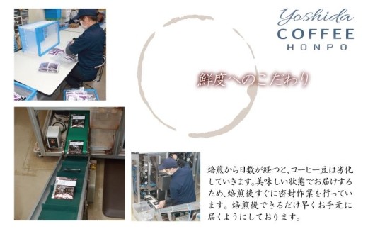 【定期便】本格カフェラテベース 無糖 600mL×12本 全4回【吉田珈琲本舗 人気 おすすめ 珈琲 コーヒー こーひー 焙煎 オリジナル 毎月配送コース】 099Z406