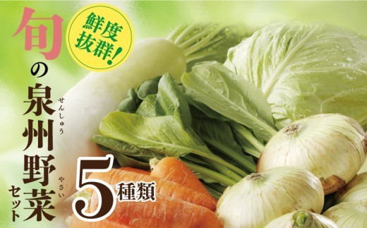 旬の野菜セット 詰め合わせ 5種類 新鮮 お試し