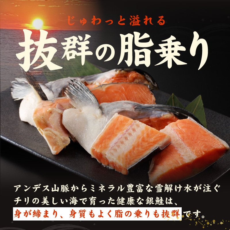 【訳あり】規格外 銀鮭 切り落とし 3kg【カマ 尻尾 小分け 1kg×3P 海鮮 魚介 鮭 さけ しゃけ 部位不揃い】 G4219-1