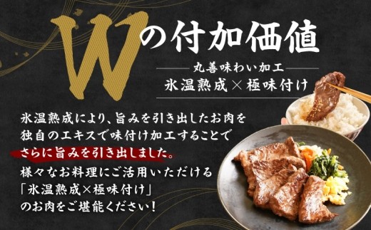 【お試し】牛肉 ハラミ 500g（250g×2P）【氷温熟成×極味付け】 mrz0426