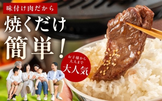【お試し】牛肉 ハラミ 500g（250g×2P）【氷温熟成×極味付け】 mrz0426