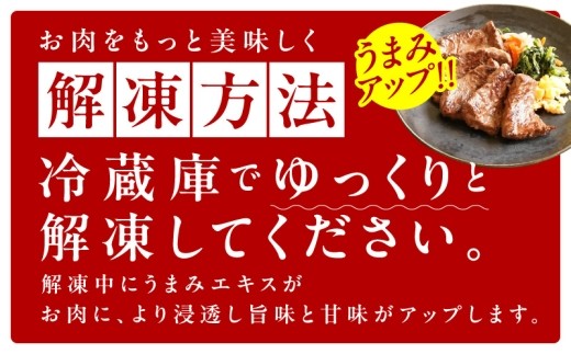 【お試し】牛肉 ハラミ 500g（250g×2P）【氷温熟成×極味付け】 mrz0426