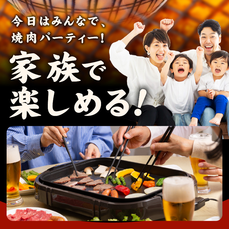 【お試し】牛肉 ハラミ 600g（300g×2P）【氷温熟成×特製ダレ】 mrz0428