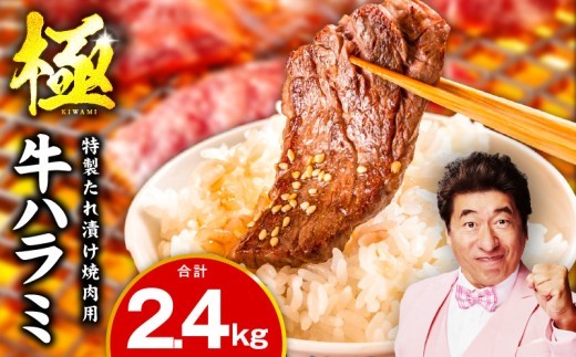 【氷温熟成×特製ダレ】牛肉 ハラミ 2.4kg（300g×8P） mrz0429