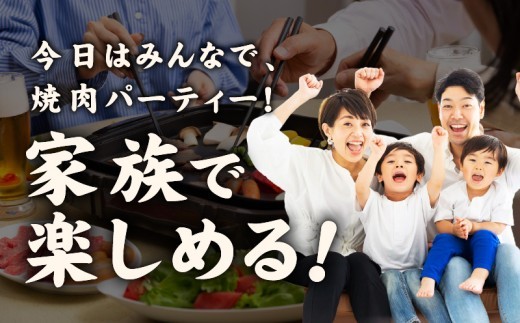 【氷温熟成×特製ダレ】牛肉 ハラミ 2.4kg（300g×8P） mrz0429