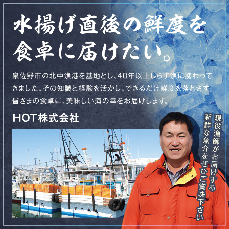【訳あり】サーモン カマ 1kg（約20-25切れ）【カマ 尻尾 小分け 海鮮 魚介 鮭 さけ しゃけ 規格外】 G3800-2
