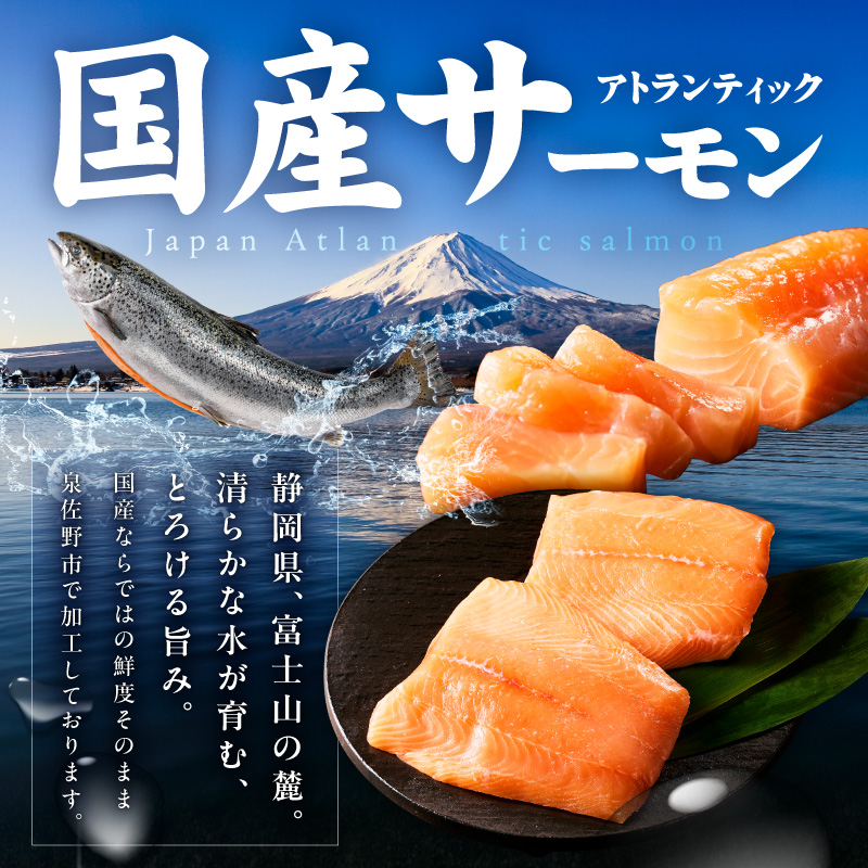 国産アトランティックサーモン 1kg ポーション【小分け 真空パック 訳あり サイズ不揃い 刺身 海鮮丼 さーもん 鮭 さけ シャケ しゃけ 冷凍】 nbj0011