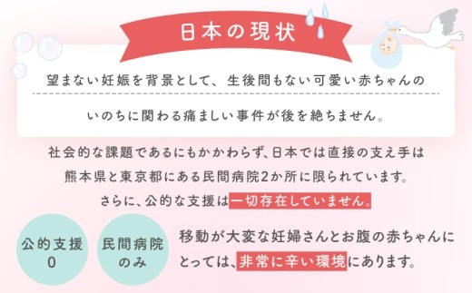【返礼品なし】赤ちゃんいのちのバトン関連応援寄附（大阪府泉佐野市） LB0005