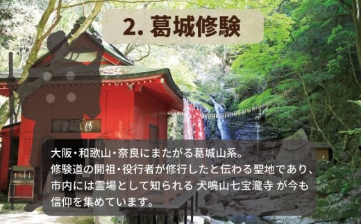 【返礼品なし】3つの日本遺産を核とする史跡等保存応援寄附（大阪府泉佐野市） ON0009