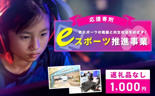 【返礼品なし】eスポーツの発展と共生社会の実現をめざす！eスポーツ推進応援寄附（大阪府泉佐野市） ON0011