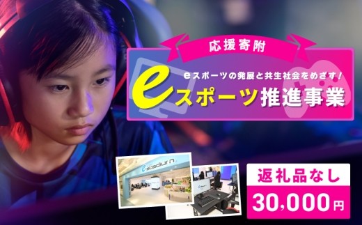 【返礼品なし】eスポーツの発展と共生社会の実現をめざす！eスポーツ推進応援寄附（大阪府泉佐野市） ON0013