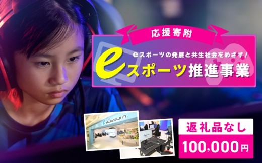 【返礼品なし】eスポーツの発展と共生社会の実現をめざす！eスポーツ推進応援寄附（大阪府泉佐野市） ON0015