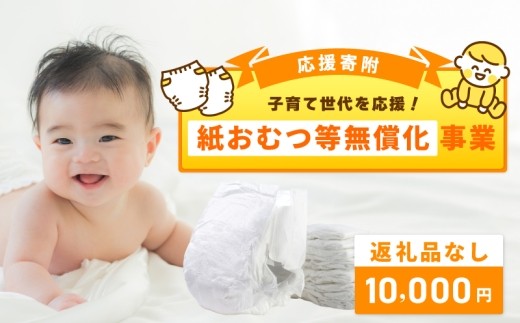 【返礼品なし】子育て世代を応援！紙おむつ等無償化応援寄附（大阪府泉佐野市） ON0017
