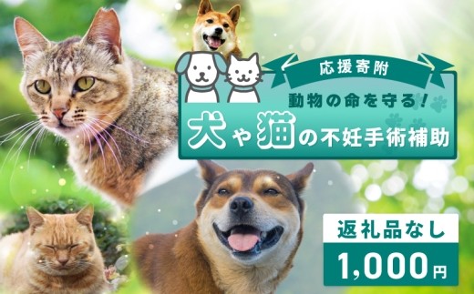 【返礼品なし】動物の命を守る！犬や猫の不妊手術補助 応援寄附（大阪府泉佐野市） ON0026