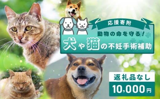 【返礼品なし】動物の命を守る！犬や猫の不妊手術補助 応援寄附（大阪府泉佐野市） ON0027