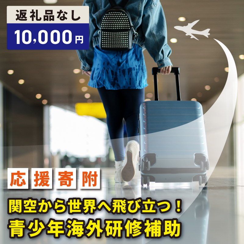 泉佐野市への寄付（返礼品なし）