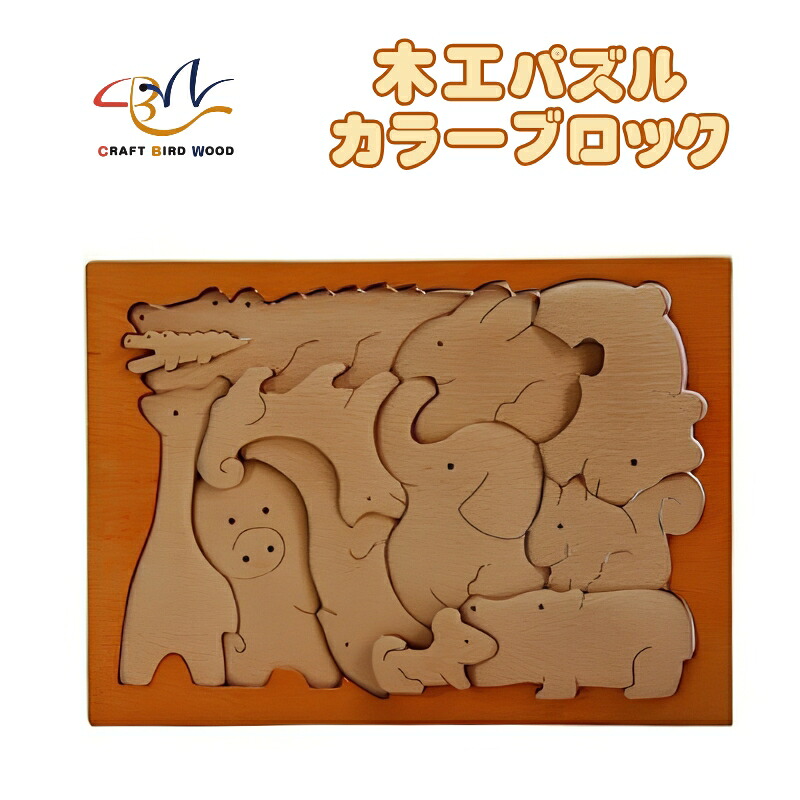 木工パズル カラーブロック 積み木 積木 つみき