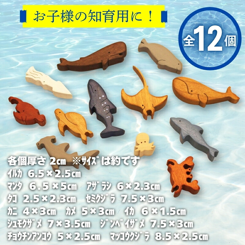 木製パズル おうちで水族館 12種の海のいきものセット いるか くじら かめ たこ いかかに チョウチンアンコウ アザラシ シュモクザメ　ジンベエザメ サメ 鮫 魚 水族館 安心塗装 クラフトバードウ