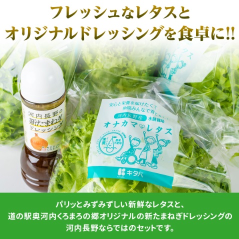 【定期便 毎月お届け3ヵ月】とれたてレタスと玉ねぎドレッシングセット | サラダ 副菜 常備野菜 炒め物 スープ チャーハン 鍋料理 巻物 冷製料理 朝食 昼食 夕食 付け合わせ サンドイッチ ハンバ
