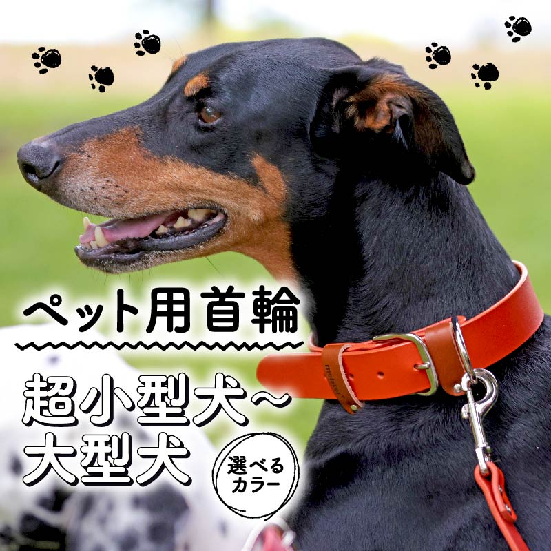 ペット用首輪 超小型犬用 レッド 首回り17-22cm 本革 ペット 犬 愛犬 ワンちゃん 超小型犬 首輪 リード 本革 レザー 牛革 牛 散歩 さんぽ ウォーキング おしゃれ 消耗品 大阪府 松原市