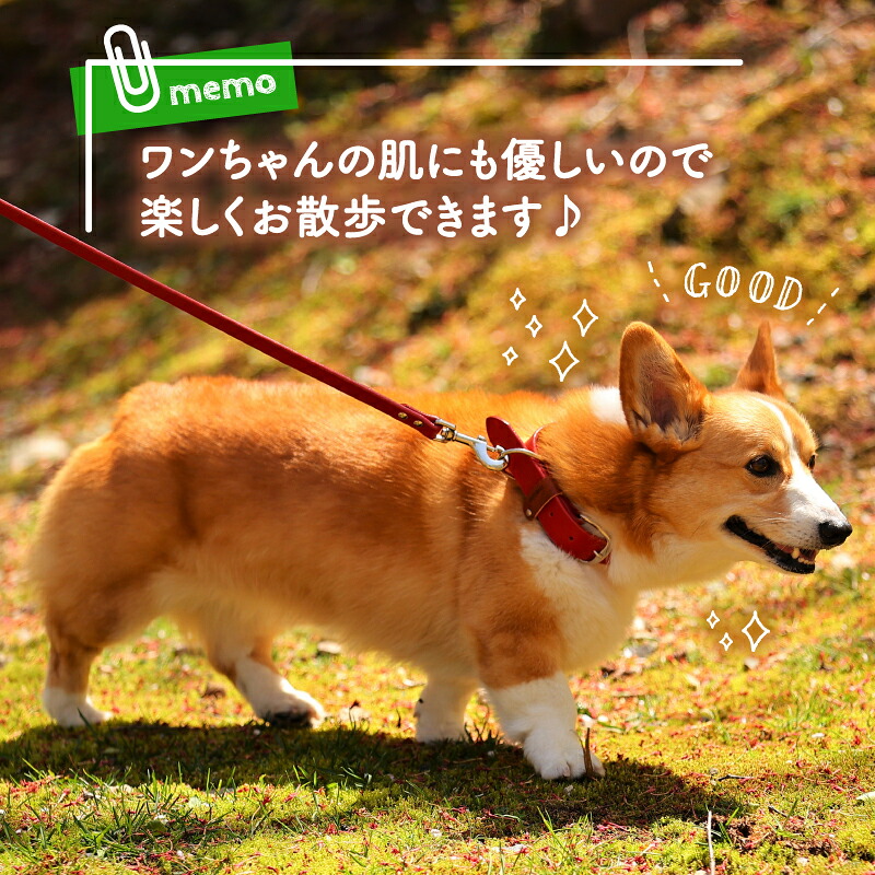 ペット用首輪 超小型犬用 レッド 首回り17-22cm 本革 ペット 犬 愛犬 ワンちゃん 超小型犬 首輪 リード 本革 レザー 牛革 牛 散歩 さんぽ ウォーキング おしゃれ 消耗品 大阪府 松原市