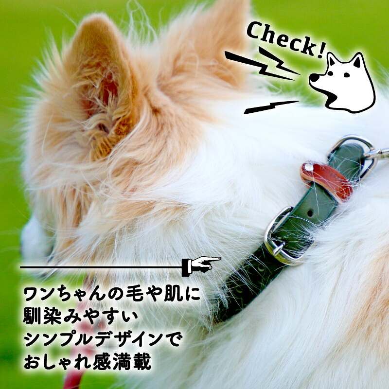 ペット用首輪 超小型犬用 レッド 首回り17-22cm 本革 ペット 犬 愛犬 ワンちゃん 超小型犬 首輪 リード 本革 レザー 牛革 牛 散歩 さんぽ ウォーキング おしゃれ 消耗品 大阪府 松原市
