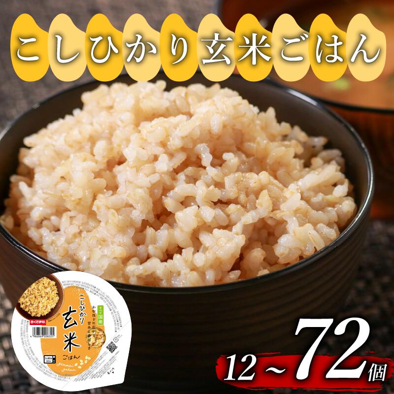 こしひかり 玄米ごはんパック 160g 12個 玄米 米 ごはん ご飯 こめ パックライス パックご飯 パックごはん ご飯パック ごはんパック パック ライス 備蓄 保存 非常 防災 松原市
