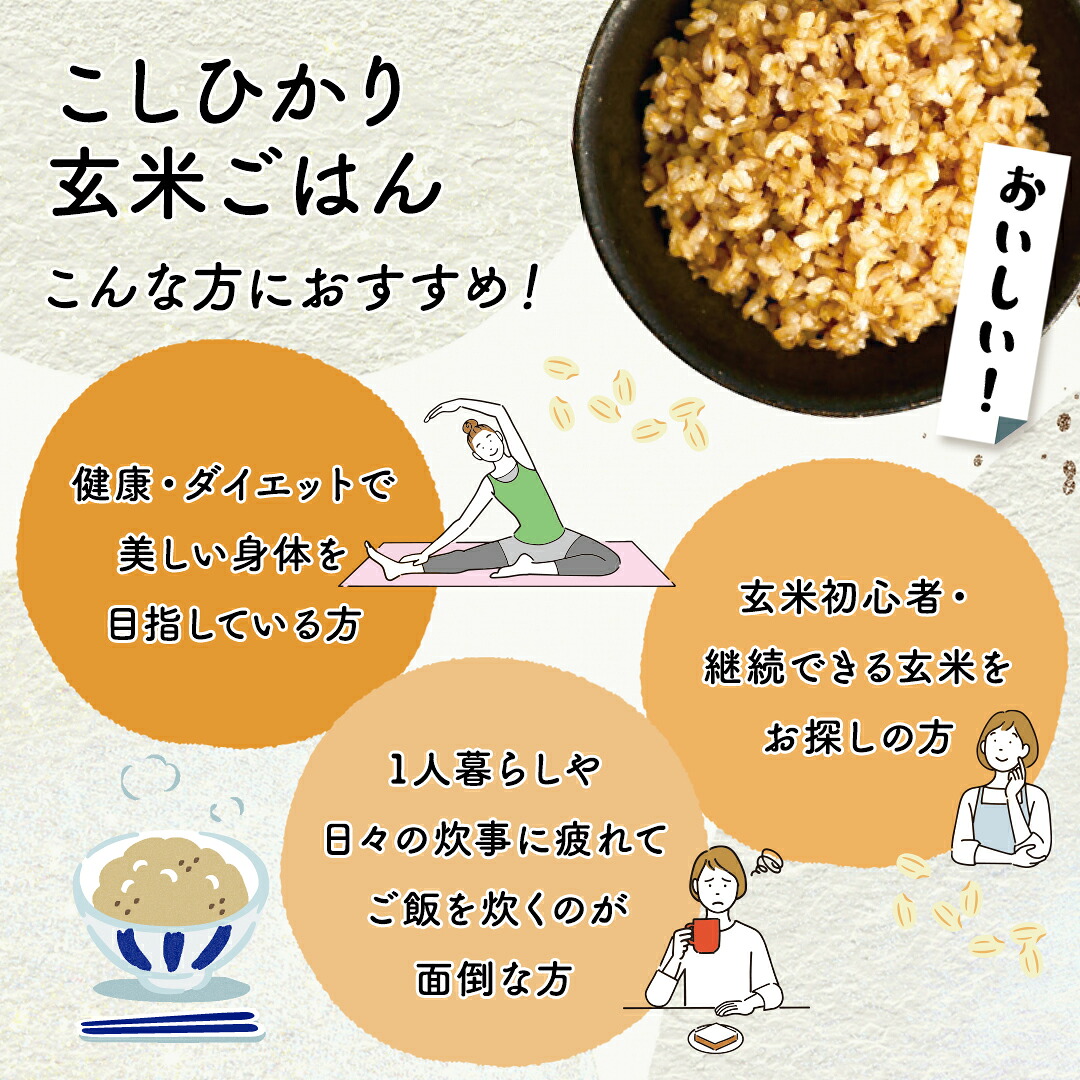 こしひかり 玄米ごはんパック 160g 12個 玄米 米 ごはん ご飯 こめ パックライス パックご飯 パックごはん ご飯パック ごはんパック パック ライス 備蓄 保存 非常 防災 松原市