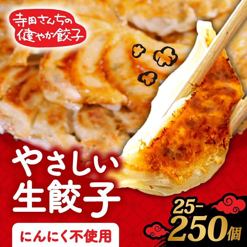 【 メディア多数出演 】 やさしい生餃子 25~250個 にんにく 不使用 ヘルシー 冷凍 餃子 ぎょうざ 国産野菜 おから 鶏肉 アボカド ヨーグルト 生餃子 ギョウザ ギョーザ 焼き餃子 水餃子 冷凍餃子