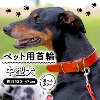 ペット用首輪 中型犬用 首回り30-37cm