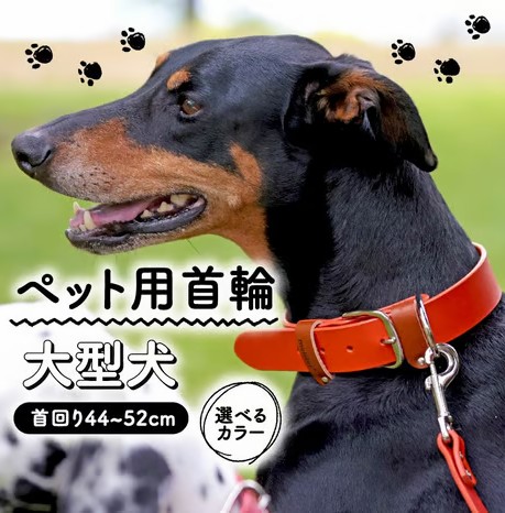 ペット用首輪 大型犬用 首回り44-52cm