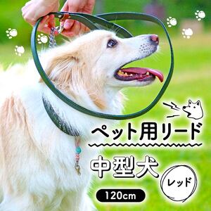 ペット用 リード 中型犬用 120cm 本革 ペット 犬 愛犬 ワンちゃん 中型犬 首輪 リード 本革 レザー 牛革 牛 散歩 さんぽ ウォーキング おしゃれ 消耗品 大阪府 松原市