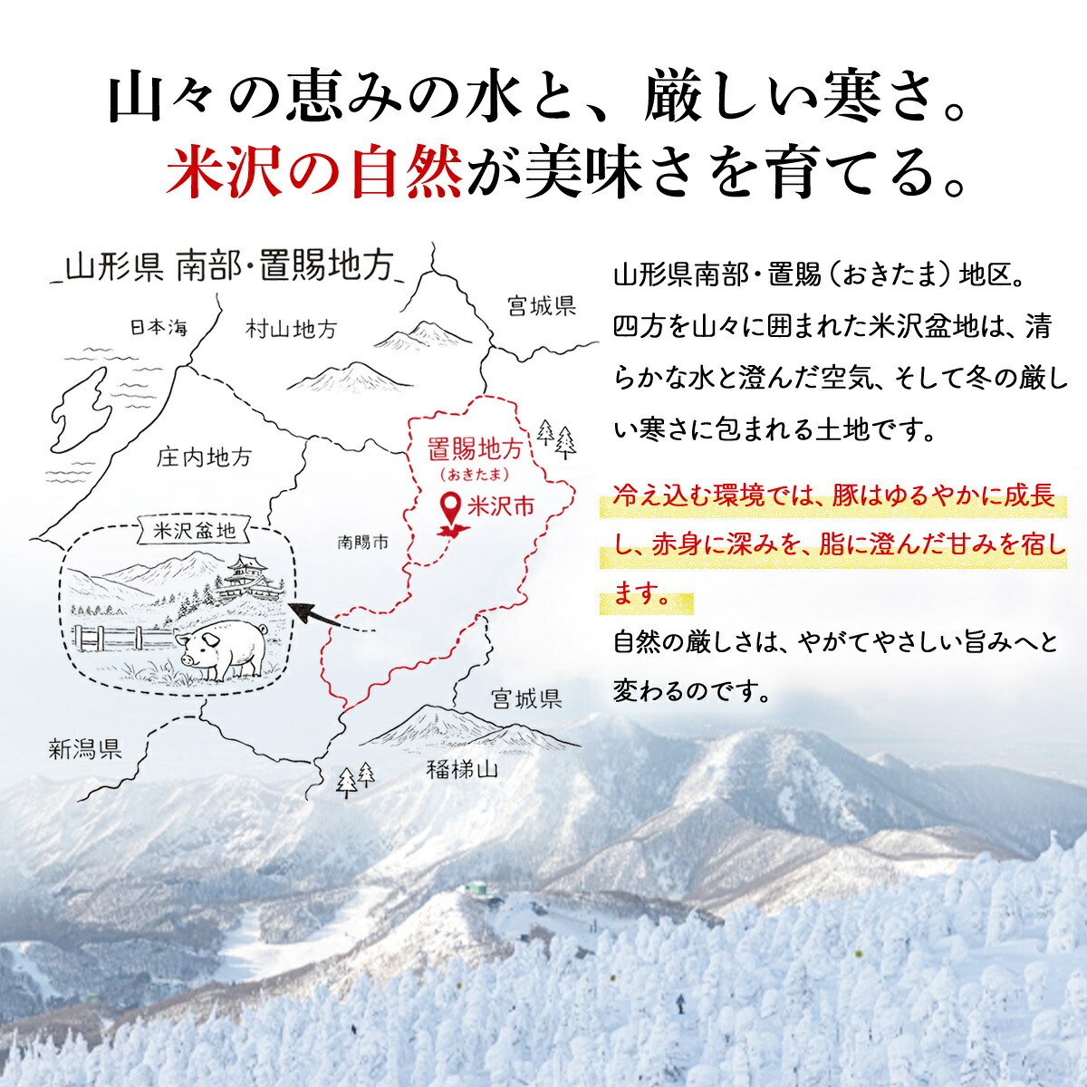 【創業大正十二年】 米沢豚 ローストポーク ブロック 選べる 容量 200g ～400g ソース 付き 冷凍 小分け 国産 豚肉 豚 肉 国産豚 高級 味付き タレ 美味しい かたまり お取り寄せ