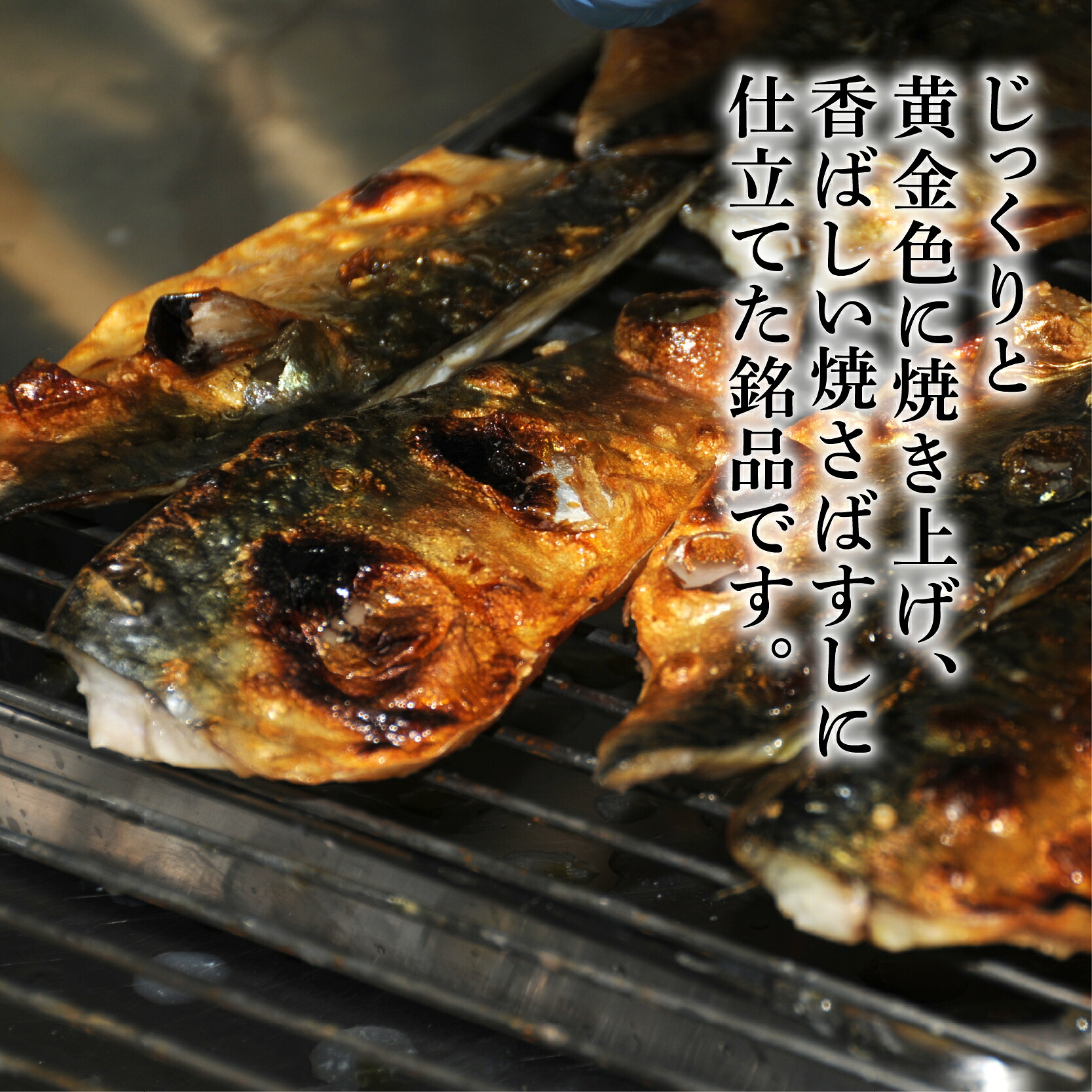 焼さばすし 1~3本 冷凍 高級 国産 鯖 焼き さば 焼鯖 寿司 すし 鮨 魚 海鮮 伊賀米 コシヒカリ 特A 米 ご飯 ごはん 押し寿司 押し 鮨 椎茸煮 甘酢生姜 手作り 小分け
