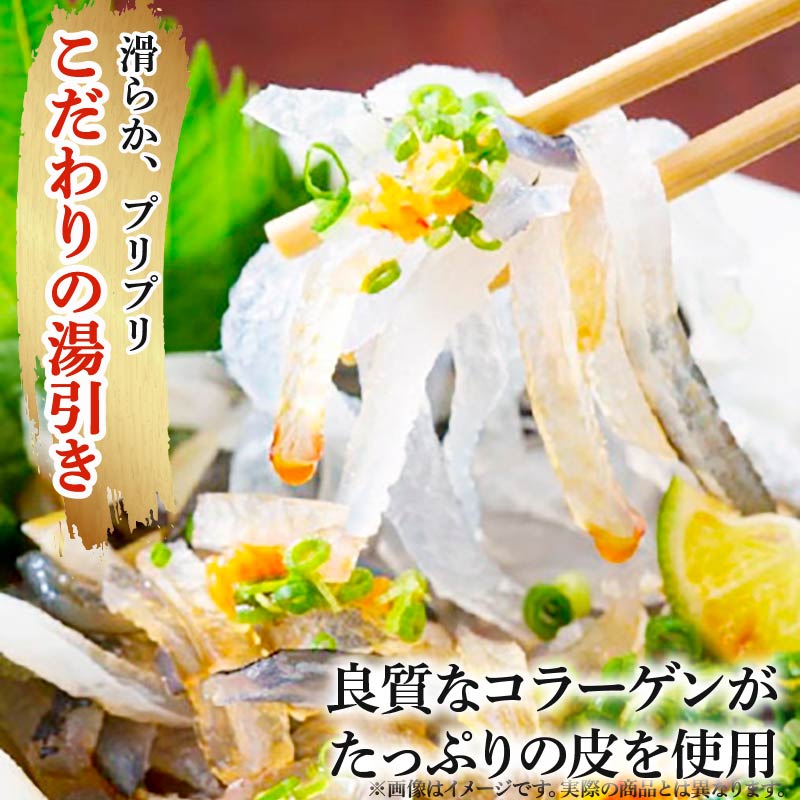 ＼とらふぐ取扱量日本一／ 湯引き 2~6個セット 指定日可 小分け 食べきり 冷凍 解凍するだけ お手軽 フグ刺し YUBIGI てっさ 河豚 高級 鮮魚 魚 魚介 huguyubiki 新鮮 家庭用