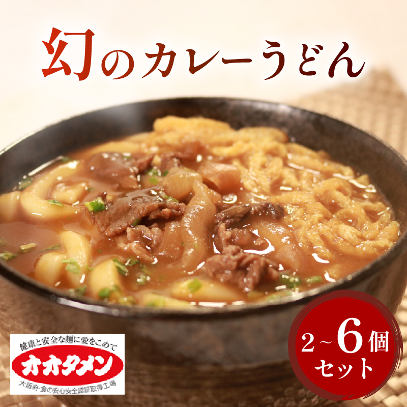 幻のカレーうどん カレーうどん うどん 2食～6食 オオタメン 太田製麺所 製麺所 個包装 簡単調理 冷凍 めん 麺 できたて こだわり 大阪府 松原市