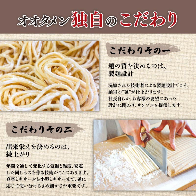 幻のうどん3種 カレーうどん 肉うどん きつねうどん 3～6食 オオタメン 太田製麺所 製麺所 個包装 簡単調理 冷凍 めん 麺 できたて こだわり 大阪府 松原市