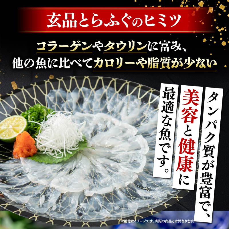 ＼とらふぐ取扱量日本一／ ふぐ刺し ふぐ鍋 セット 2～3人前 海楽節度 fugusashi 指定日可 とらふぐ ポン酢付き 大皿 てっさ セット 国産 ふぐ刺し ふぐ刺し身 刺身 hugunabe