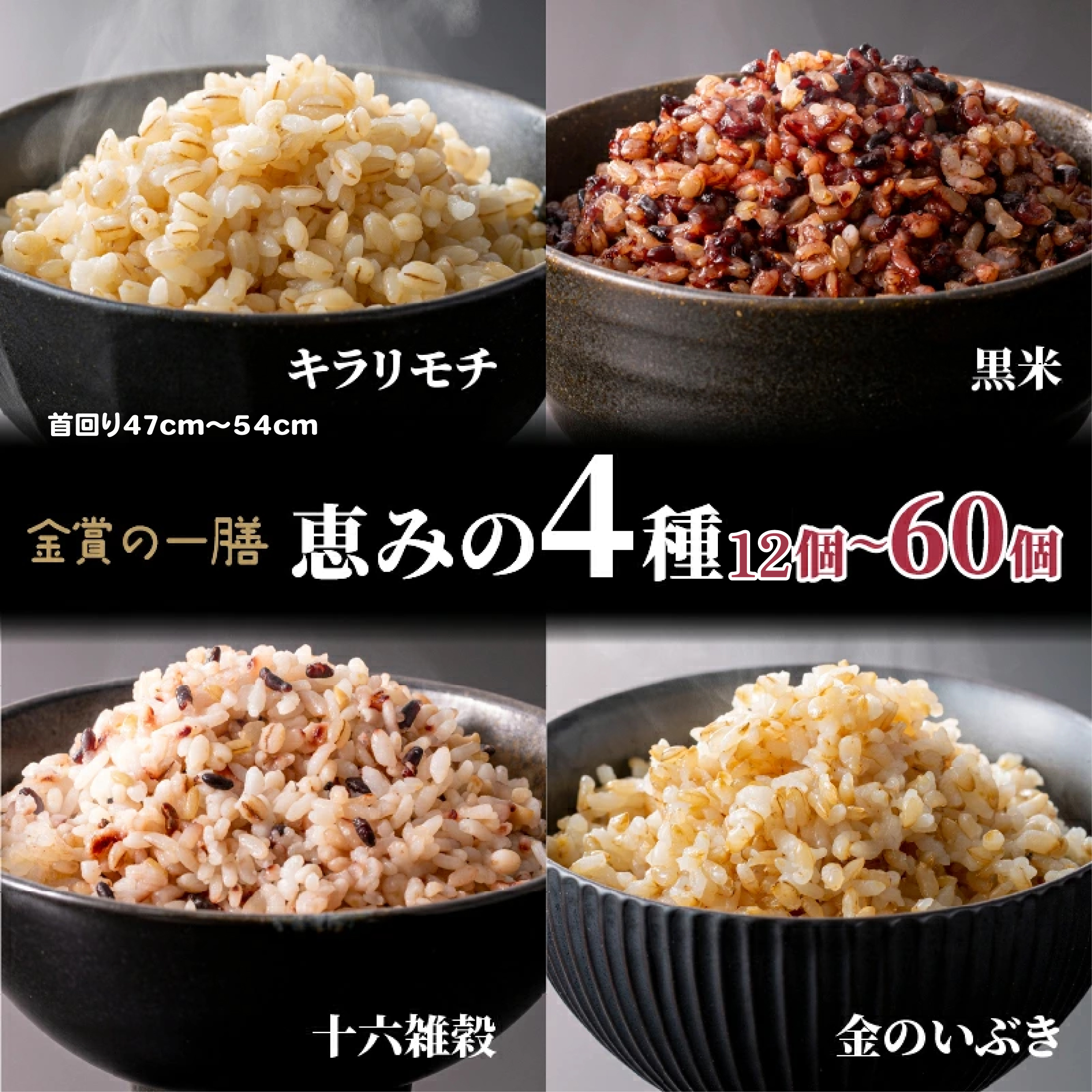 ご飯パック 金賞 健康米 食べ比べ 恵みの4種セット 黒米 金のいぶき キラリモチ 十六雑穀 120g×12個~60個 国産 レンチン もち麦 軽食 夜食 簡単 白米 麦 食物繊維 ビタミン ごはん